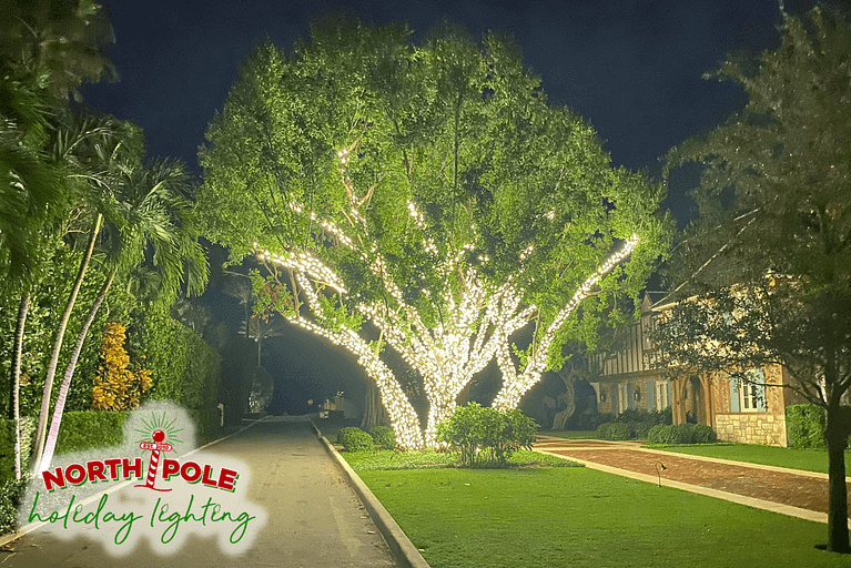 outdoor christmas lights, home holiday lighting, house christmas light installs, outdoor holiday decorations, residential outdoor lighting, christmas lights on trees, north pole holiday lighting, outdoor christmas decor, holiday light installation palm beach county florida, palm beach holiday lights
